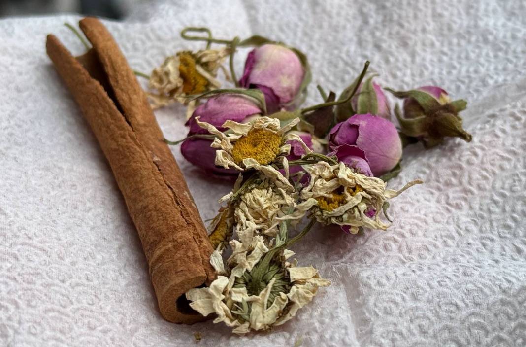 Konya’da uzman isimden bitki çayı uyarısı: Problemlere yol açabiliyor 7